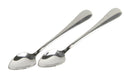 GRAPEFRUIT SPOONS 2PK
