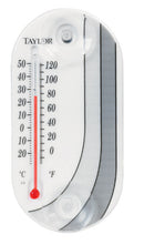 Taylor Tube Thermometer Plastic White 4 in.