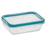 Snapware Total Solution 2 cups Clear Food Storage Container 1 pk