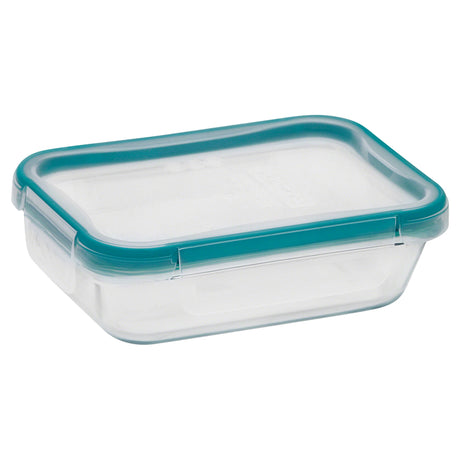 Snapware Total Solution 2 cups Clear Food Storage Container 1 pk