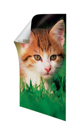 3M Command White Poster Strips 1 lb 48