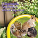 Bonide Animal Repellent Liquid For Chipmunks and Squirrels 32 oz