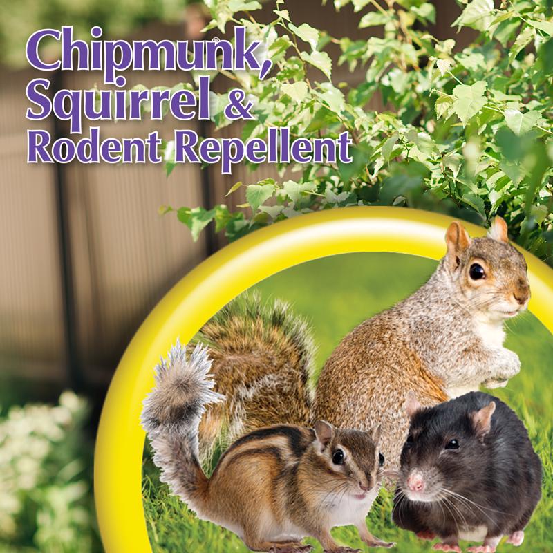 Bonide Animal Repellent Liquid For Chipmunks and Squirrels 32 oz
