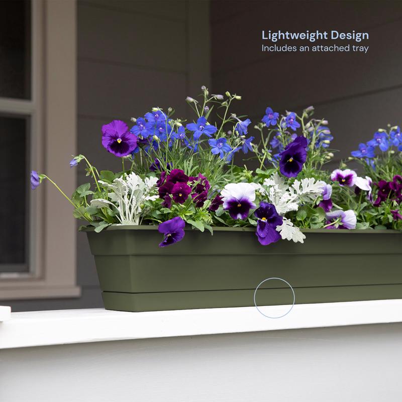 Bloem 5.75 in. H X 30 in. W X 7.5 in. D Plastic Window Box Green