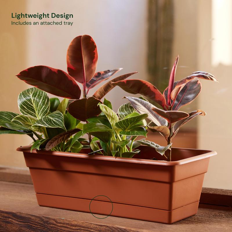 Bloem 5.75 in. H X 18 in. W X 7.5 in. D Plastic Window Box Terracotta