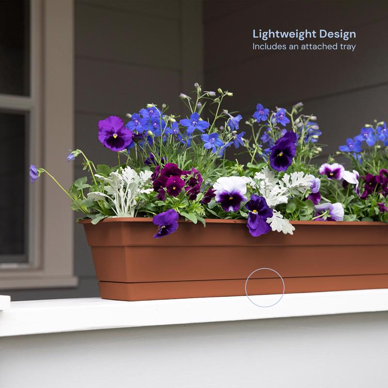 Bloem Dura Cotta 5.75 in. H X 24 in. W X 7.5 in. D Plastic Window Box Terracotta