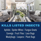 BioAdvanced Insect Disease & Mite Control Liquid 24 oz