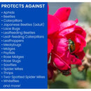 BioAdvanced Insect Disease & Mite Control Liquid 24 oz