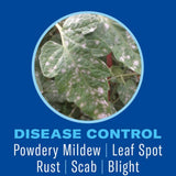 BioAdvanced Insect Disease & Mite Control Liquid 24 oz