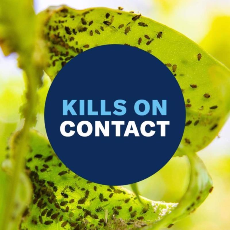 BioAdvanced Insect Disease & Mite Control Liquid 24 oz