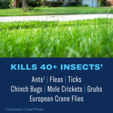 BioAdvanced Insect Killer Granules 10 lb
