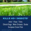 BioAdvanced Insect Killer Granules 10 lb