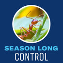 BioAdvanced Insect Killer Granules 10 lb