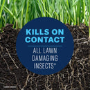 BioAdvanced Insect Killer Granules 10 lb