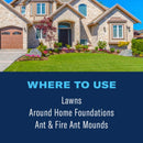 BioAdvanced Insect Killer Granules 10 lb