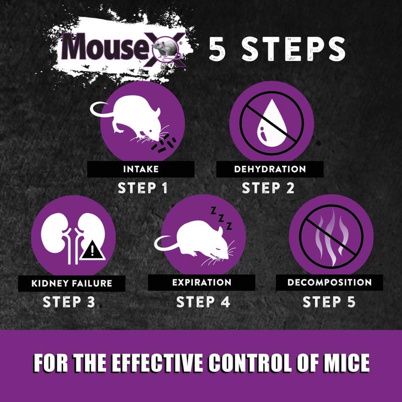 MouseX Non-Toxic Bait Pellet Throw Pack For Mice 12 oz 6 pk