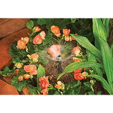 Orbit Micro-Bubbler - Total Qty: 1