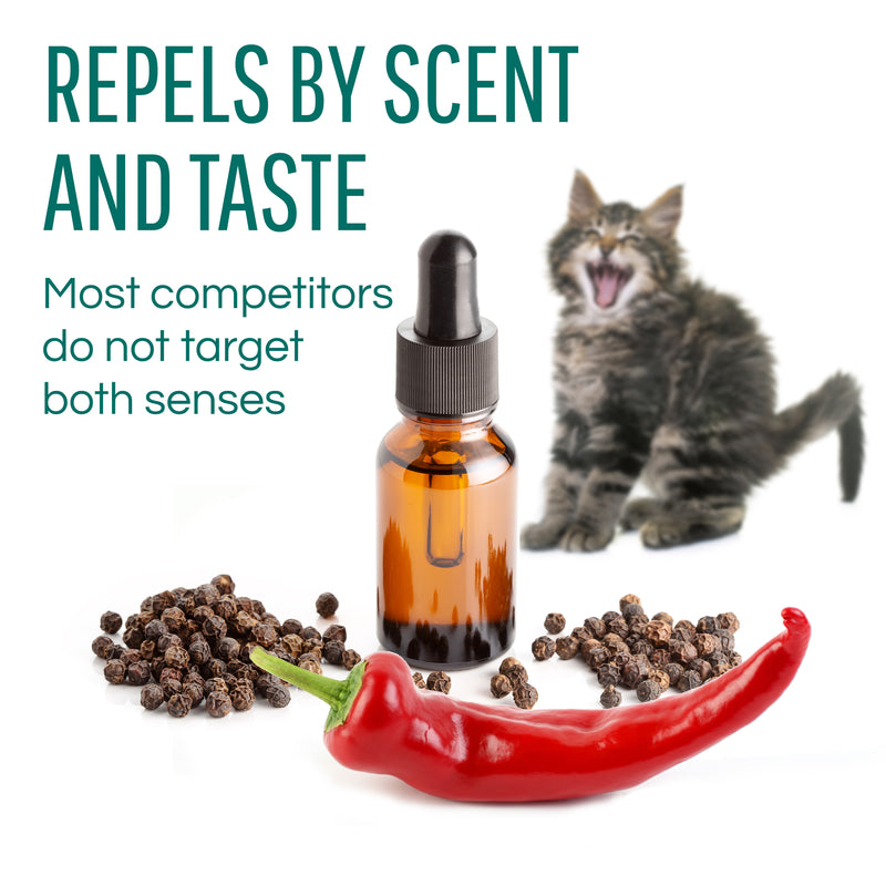 Safer Brand Critter Ridder Animal Repellent Granules For Most Animal Types 2 lb