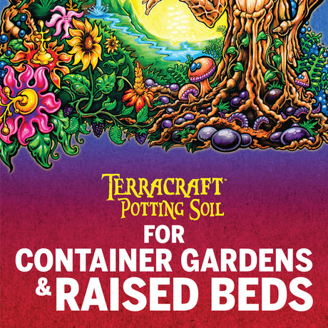 Mother Earth Terracraft All Purpose Potting Soil 2 ft