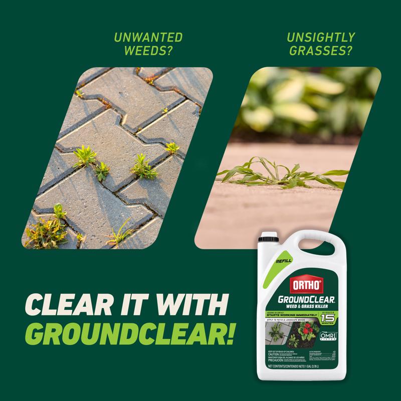 Ortho GroundClear Weed and Grass Killer Refill RTU Liquid 1 gal