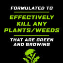 Ortho GroundClear Weed and Grass Killer Refill RTU Liquid 1 gal