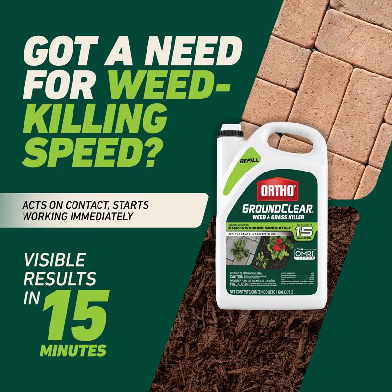 Ortho GroundClear Weed and Grass Killer Refill RTU Liquid 1 gal