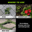 Ortho GroundClear Weed and Grass Killer Refill RTU Liquid 1 gal