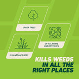 Ortho GroundClear Weed and Grass Killer Refill RTU Liquid 1 gal