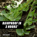 Ortho GroundClear Weed and Grass Killer Refill RTU Liquid 1 gal