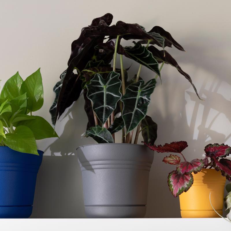 Bloem Saturn 7 in. D Polyresin Planter Charcoal