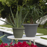 Bloem Ariana 6.8 in. H X 8.75 in. W X 8.75 in. D X 8 in. D Polyresin Planter Charcoal