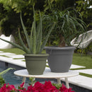 Bloem Ariana 6.8 in. H X 8.75 in. W X 8.75 in. D X 8 in. D Polyresin Planter Charcoal