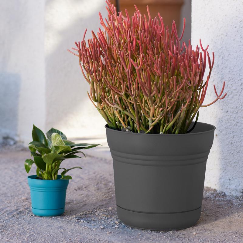 Bloem Saturn 10.75 in. H X 12.25 in. D Polyresin Classic Textured Planter Charcoal