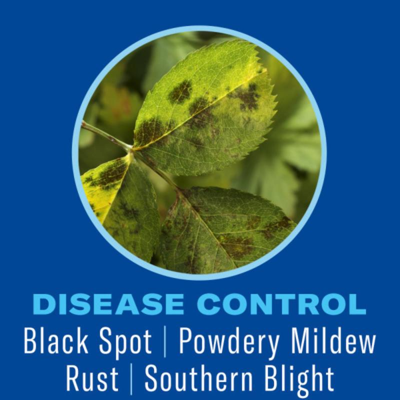 BioAdvanced Shrub Care Shrubs/Trees/Vegetables 6-9-6 Plant Fertilizer 4 lb