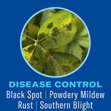 BioAdvanced Shrub Care Shrubs/Trees/Vegetables 6-9-6 Plant Fertilizer 4 lb