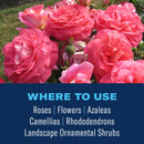 BioAdvanced Shrub Care Shrubs/Trees/Vegetables 6-9-6 Plant Fertilizer 4 lb