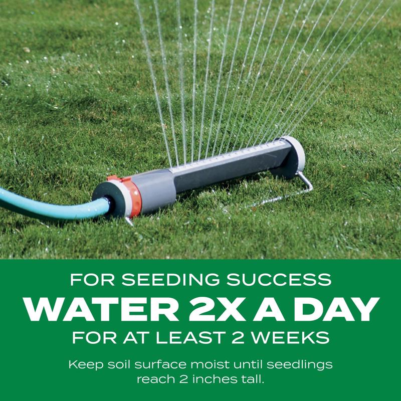 Scotts Turf Builder ThickR Bermuda Grass Sun or Shade Grass Seed and Fertilizer 40 lb