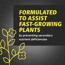 General Hydroponics Calimagic Liquid Plant Supplement 1 qt