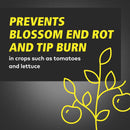 General Hydroponics Calimagic Liquid Plant Supplement 1 qt