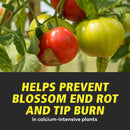 General Hydroponics Calimagic Liquid Plant Supplement 1 qt