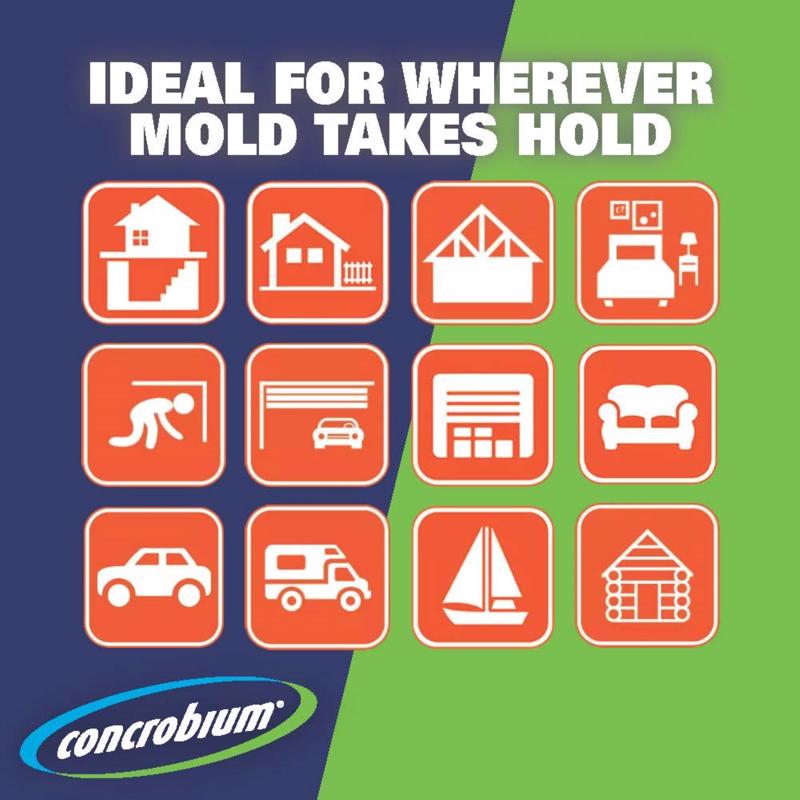 Concrobium Mold Control 1 gal