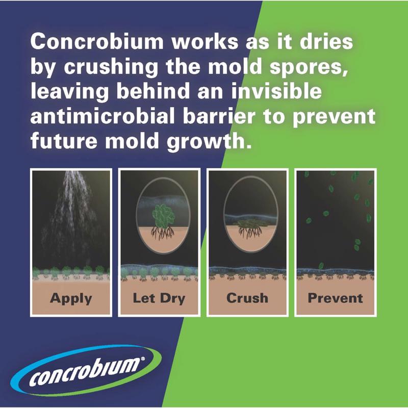 Concrobium Mold Control 1 gal