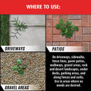 Ortho GroundClear Year Long Vegetation Killer, Kills Weeds and Grasses, Prevents Unwanted Weeds and Grasses for up to 1 Year, 1 gal.