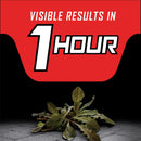 Ortho GroundClear Year Long Vegetation Killer RTU Liquid 1 gal