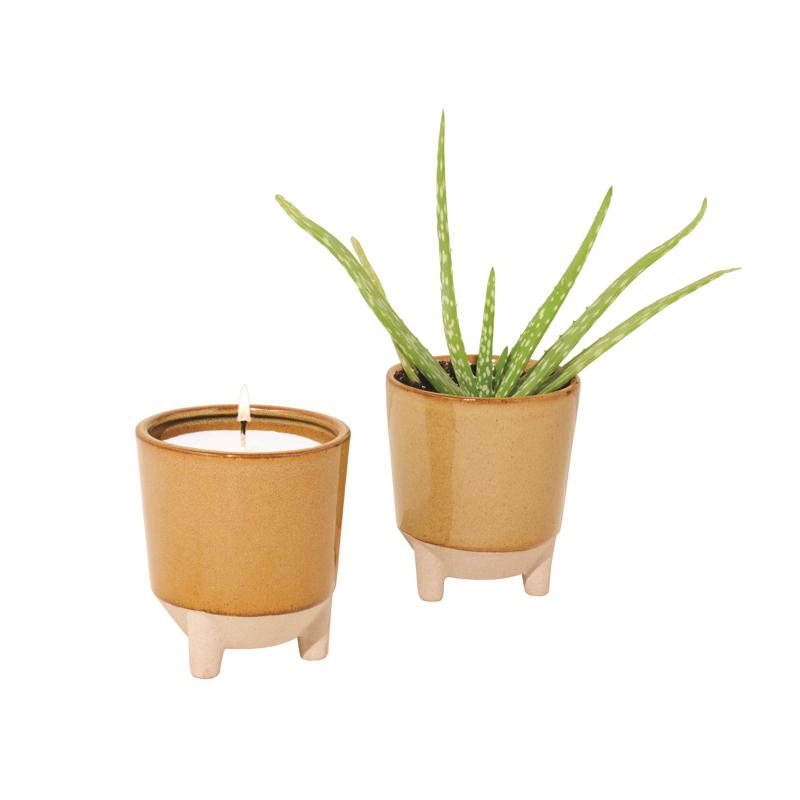 Modern Sprout Glow & Grow Kit - Thumbnail 2