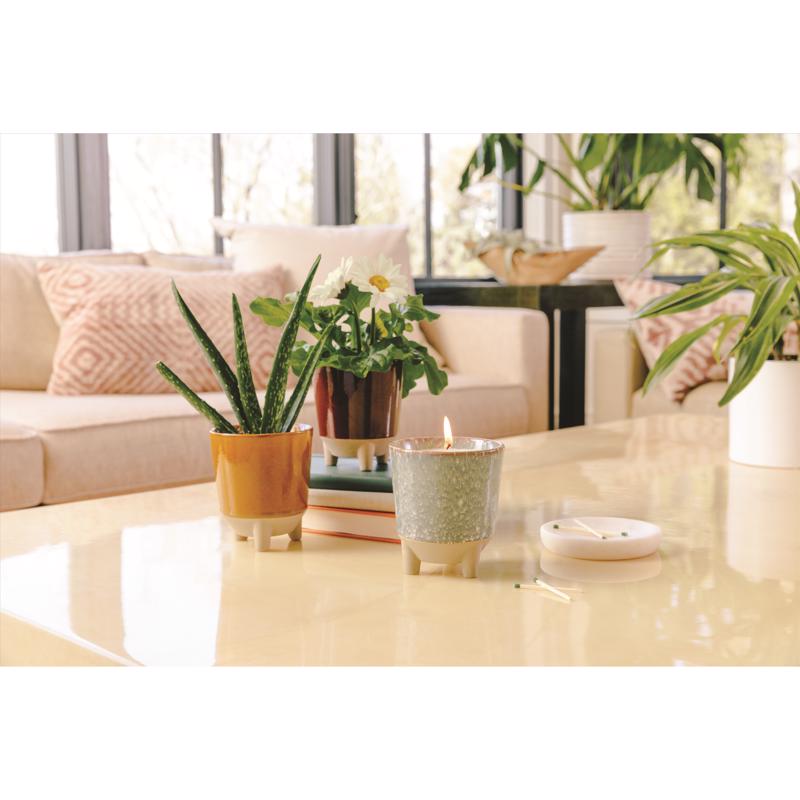 Modern Sprout Glow & Grow Kit - Thumbnail 3