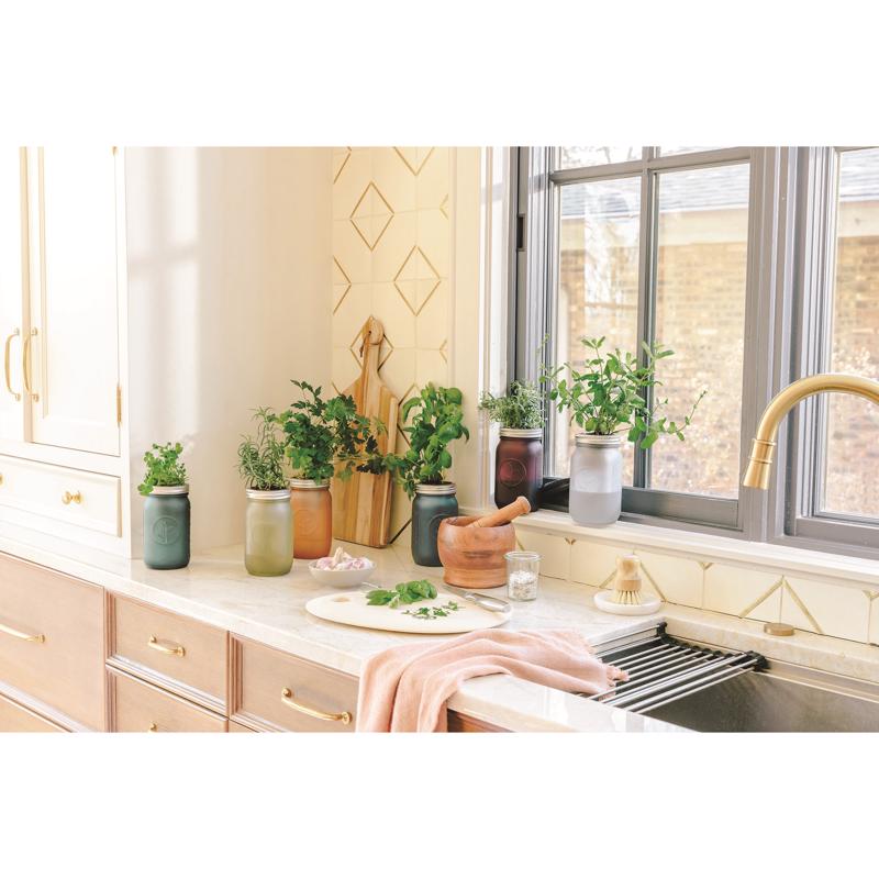 Modern Sprout Parsley Grow Kit 1 pk