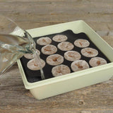 Jiffy 14 Cells 11 in. H X 11 in. W Seed Starting Kit 1 pk