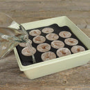 Jiffy 14 Cells 11 in. H X 11 in. W Seed Starting Kit 1 pk
