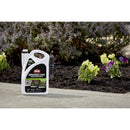 Ortho GroundClear Weed and Grass Killer RTU Liquid 1 gal
